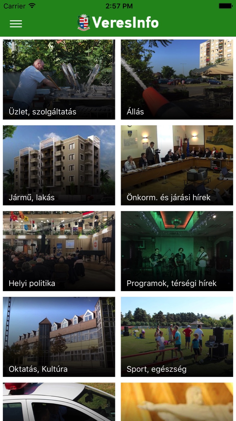 The VeresInfo app's topic grid on a phone: eleven categories such as shops & services, jobs, vehicles & housing, local politics, and sport & health